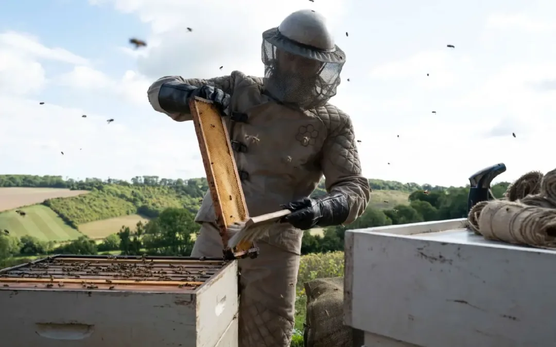 Review de “Beekeeper: Sentencia de Muerte”