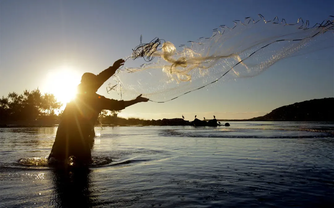 Entre Redes y Recetas: Celebremos a las y los pescadores de Chile