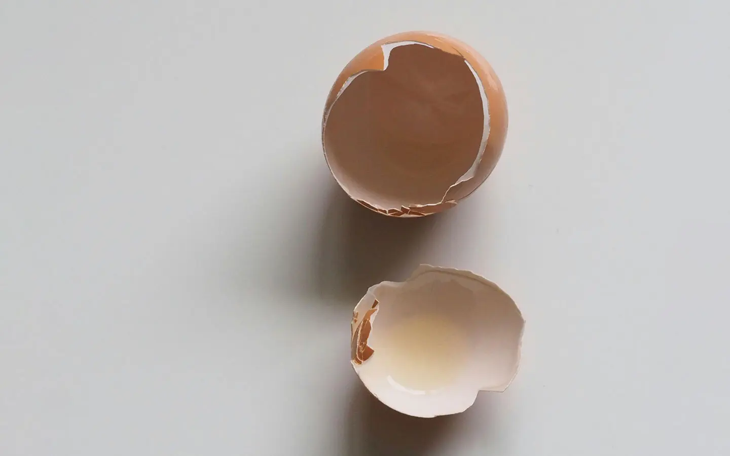 Crean biomaterial basado en cáscara de huevo para la regeneración ósea bucal
