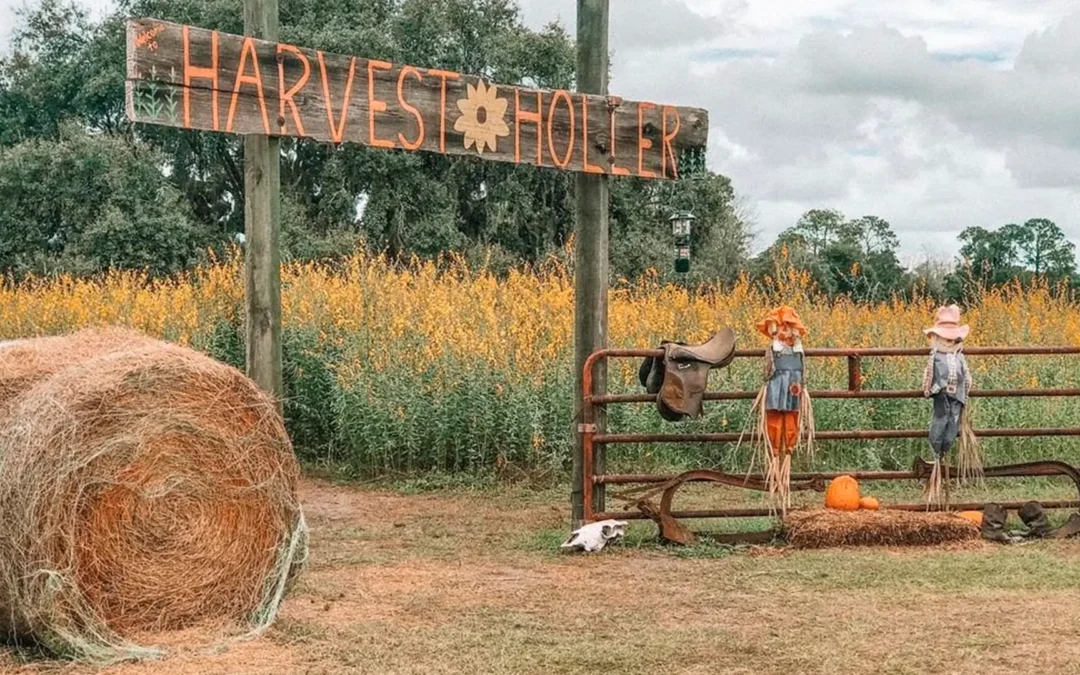 Disfrute en Central Florida de festivales de otoño y eventos de Halloween