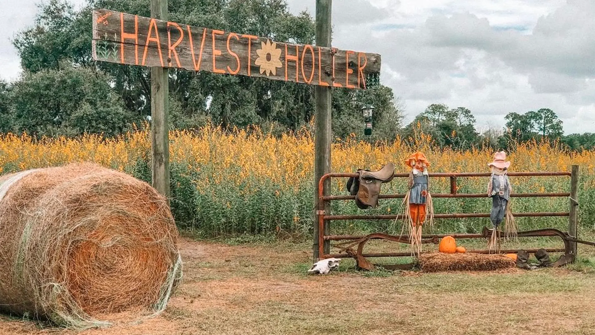 Disfrute en Central Florida de festivales de otoño y eventos de Halloween